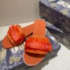 DIOR SLIDES