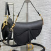 DIOR SADDLE BAG