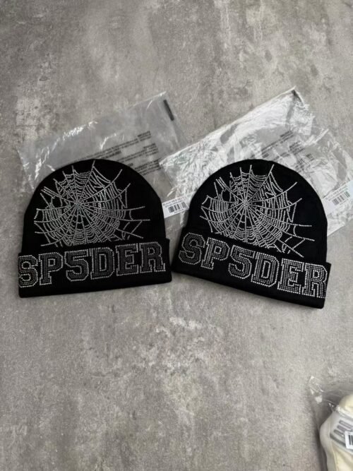 IMG_5382 SPIDER BEANIE
