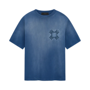 IMG_6248 AMIRI T-SHIRT - BLUE