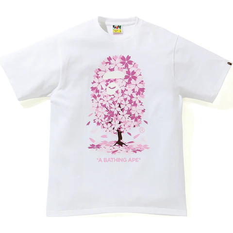 IMG_6798 APE T-SHIRT